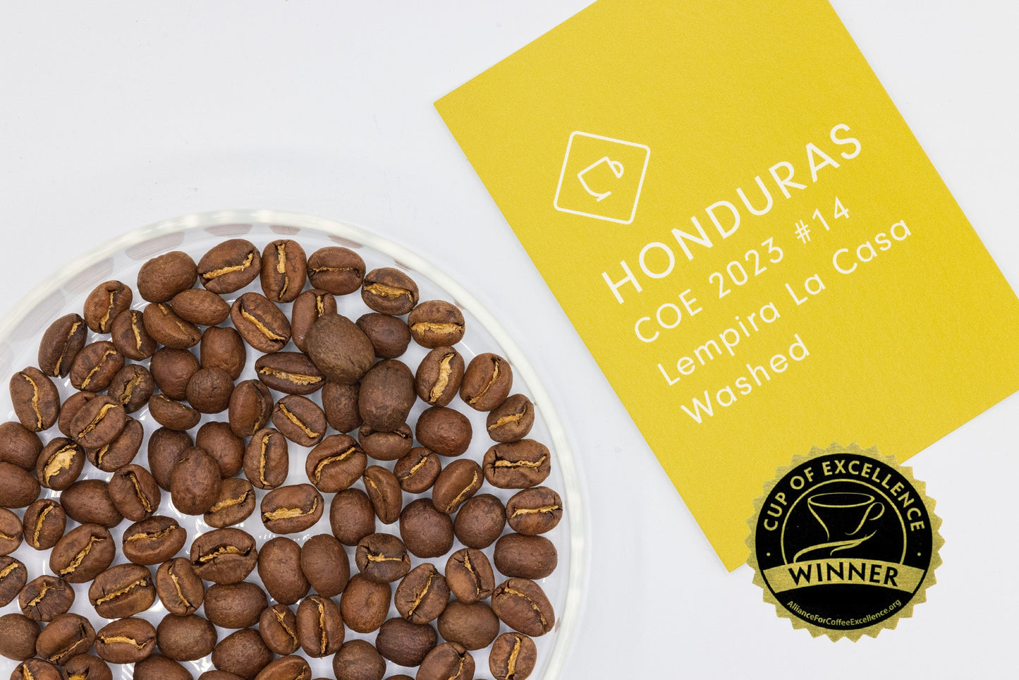 HONDURAS COE2023 #14  FINCA LA CASA （ホンジュラス COE2023 #14 ラ カーサ）