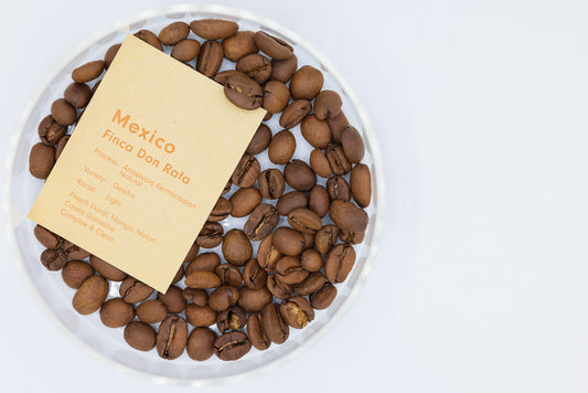 MEXICO FINCA DON RAFA GEISHA ANAEROBIC NATURAL（メキシコ フィンカ ドンラファ ゲイシャ アナエロビック ナチュラル）