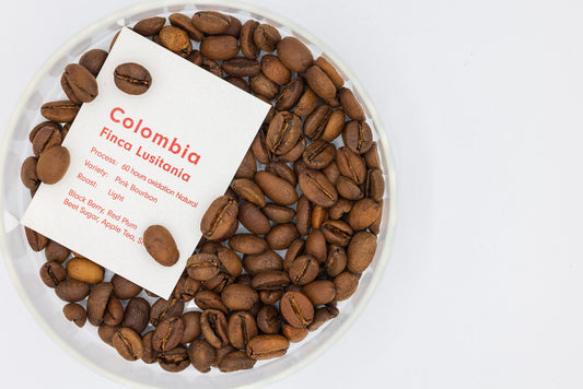 COLOMBIA FINCA LUSITANIA PINK BOURBON NATURAL（コロンビア フィンカ ルシタニア ピンクブルボン ナチュラル）