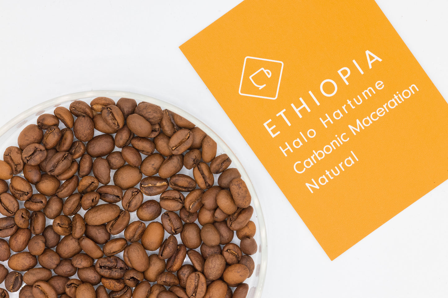 ETHIOPIA HALO HARTUME CARBONIC MACERATION（エチオピア ハロ ハルトゥミ  CM ナチュラル）