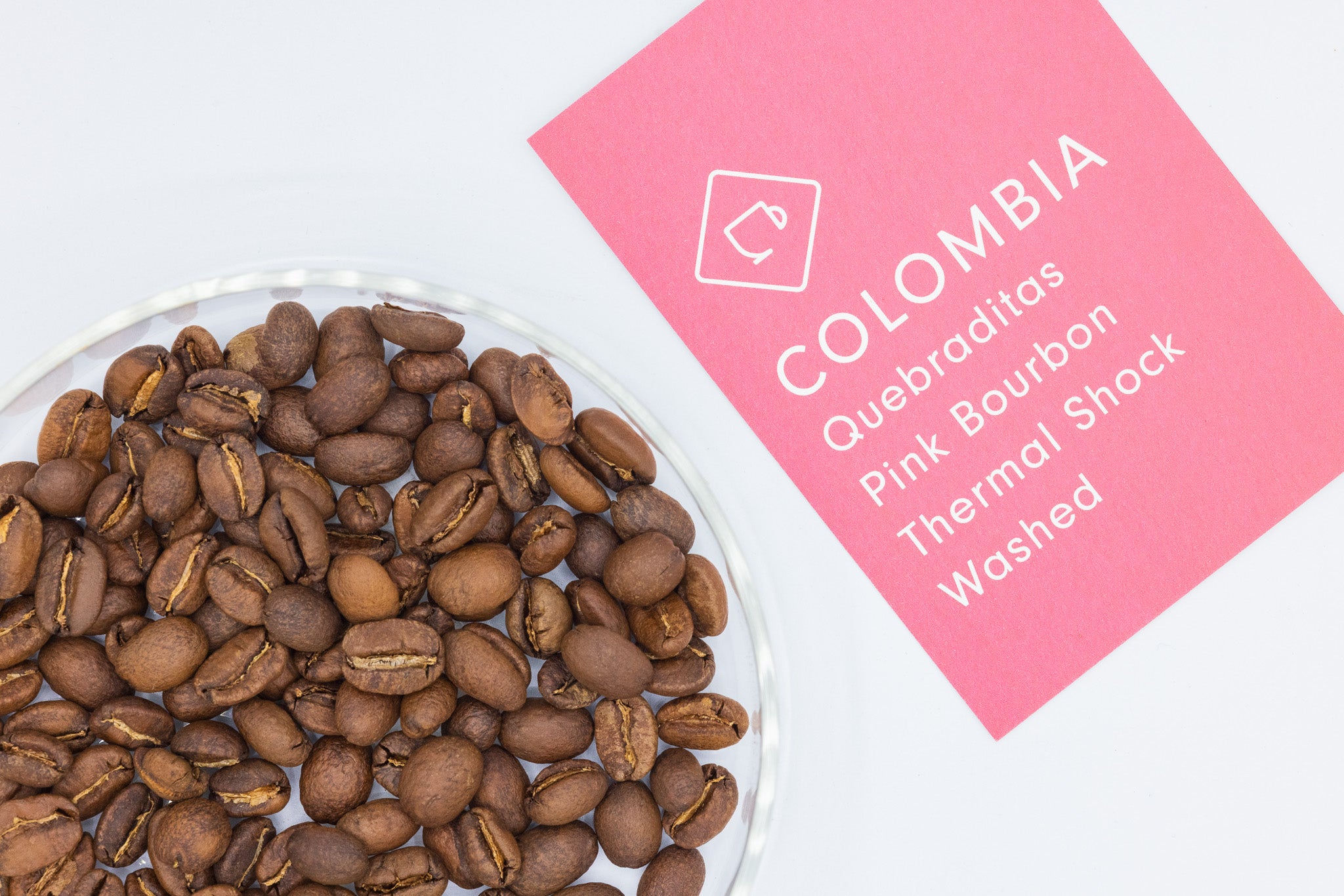 COLOMBIA QUEBRADITAS PINK WASHED WITH THERMAL SHOCK