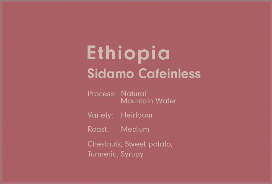 Ethiopia Sidamo TadeGG Cafeinless（エチオピア シダモ タデGG カフェインレス）