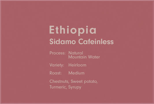 Ethiopia Sidamo TadeGG Cafeinless（エチオピア シダモ タデGG カフェインレス）