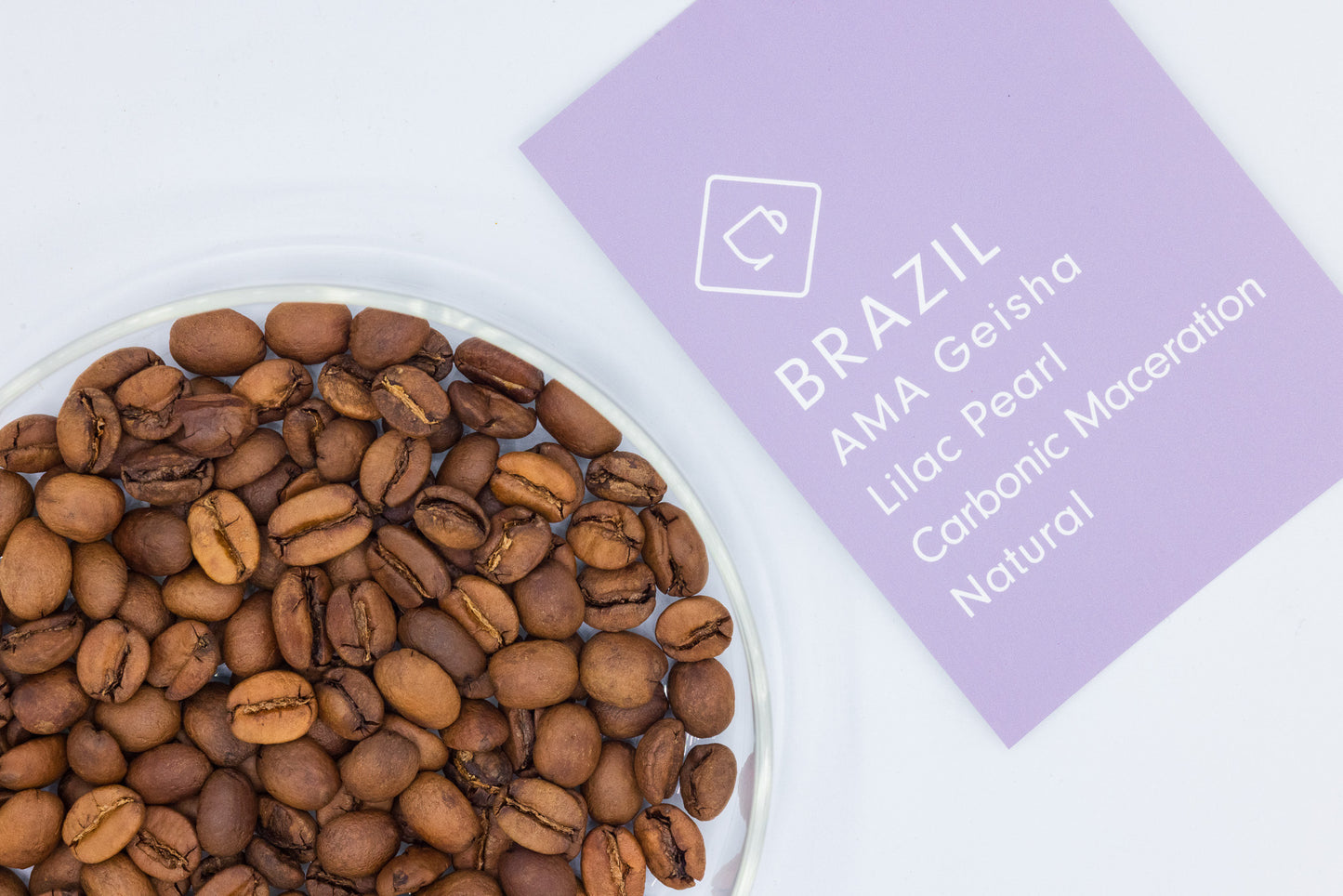 BRAZIL AMA GEISHA LILAC PEARL CM NATURAL （ブラジル AMA ゲイシャ ライラック CM ナチュラル）
