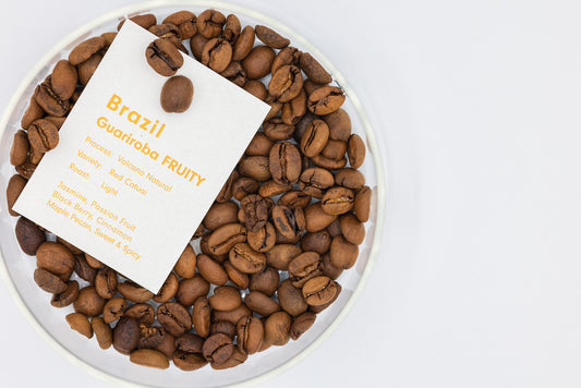 BRAZIL FAZENDA GUARIROBA LOT FRUITY（ブラジル ファゼンダ グアリロバ  Lot FRUITY）