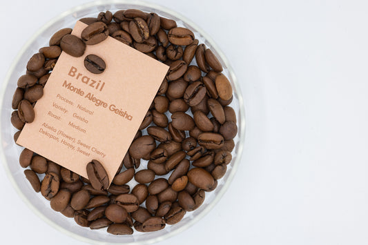 BRAZIL MONTE ALEGRE GEISHA NATURAL（ブラジル モンテ アレグレ ゲイシャ ナチュラル）