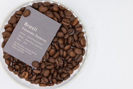 BRAZIL FAZENDA DATERRA（ブラジル ファゼンダ ダテーラ）