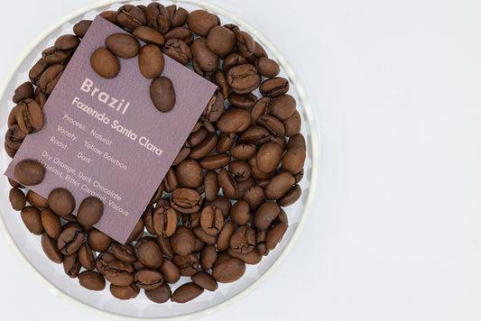 BRAZIL FAZENDA SANTA CLARA YELLOW BOURBON NATURAL（ブラジル サンタ クララ イエローブルボン ナチュラル）