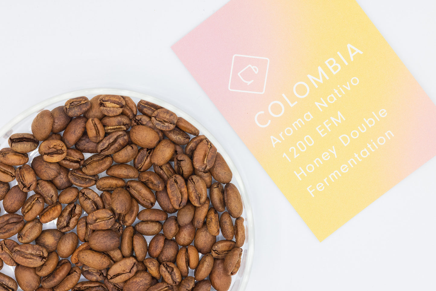 COLOMBIA AROMA NATIVO HONEY  DOUBLE FERMENTATION（コロンビア アロマナティーボ ハニーダブルファーメンテーション）