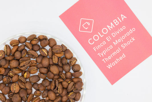 COLOMBIA FINCA EL DIVISO TYPICA MEJORADO THERMAL SHOCK WASHED（コロンビア エルディヴィソ サーマルショック ウォッシュト）