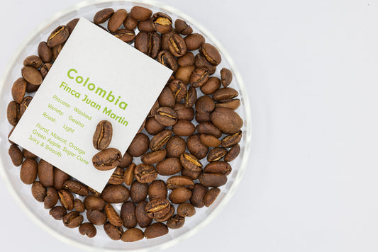 COLOMBIA FINCA JUAN MARTIN GEISHA（コロンビア フィンカ ファンマーティン ゲイシャ）