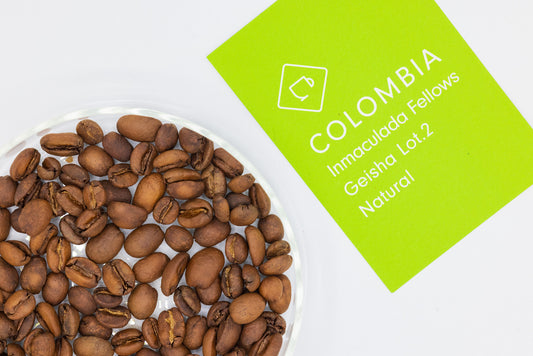 COLOMBIA INMACULADA FELLOWS GEISHA NATURAL LOT 2（コロンビア インマクラーダ フェローズ ゲイシャ）