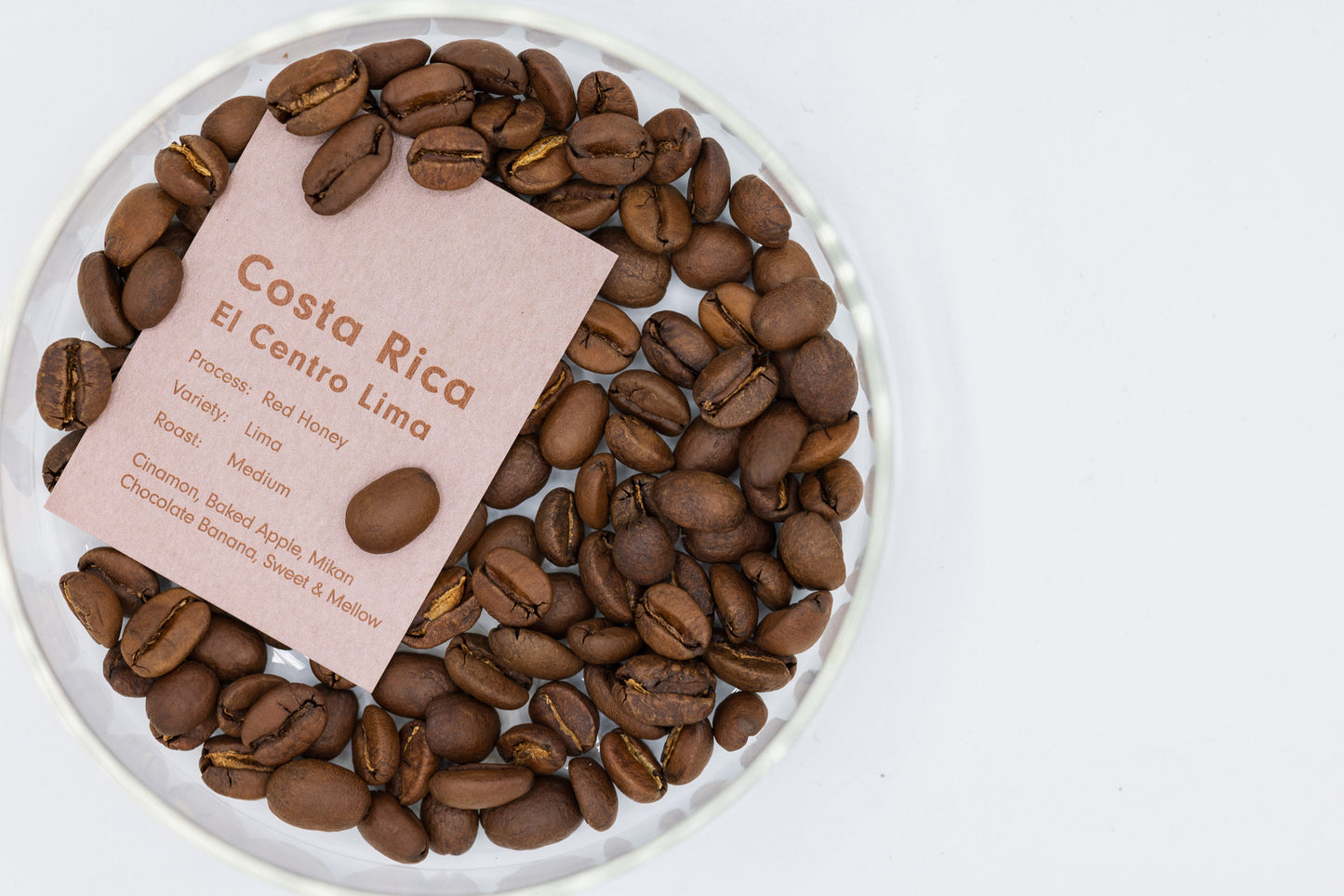 COSTA RICA FINCA EL CENTRO LIMA RED HONEY （コスタリカ エル セントロ リマ レッドハニー）