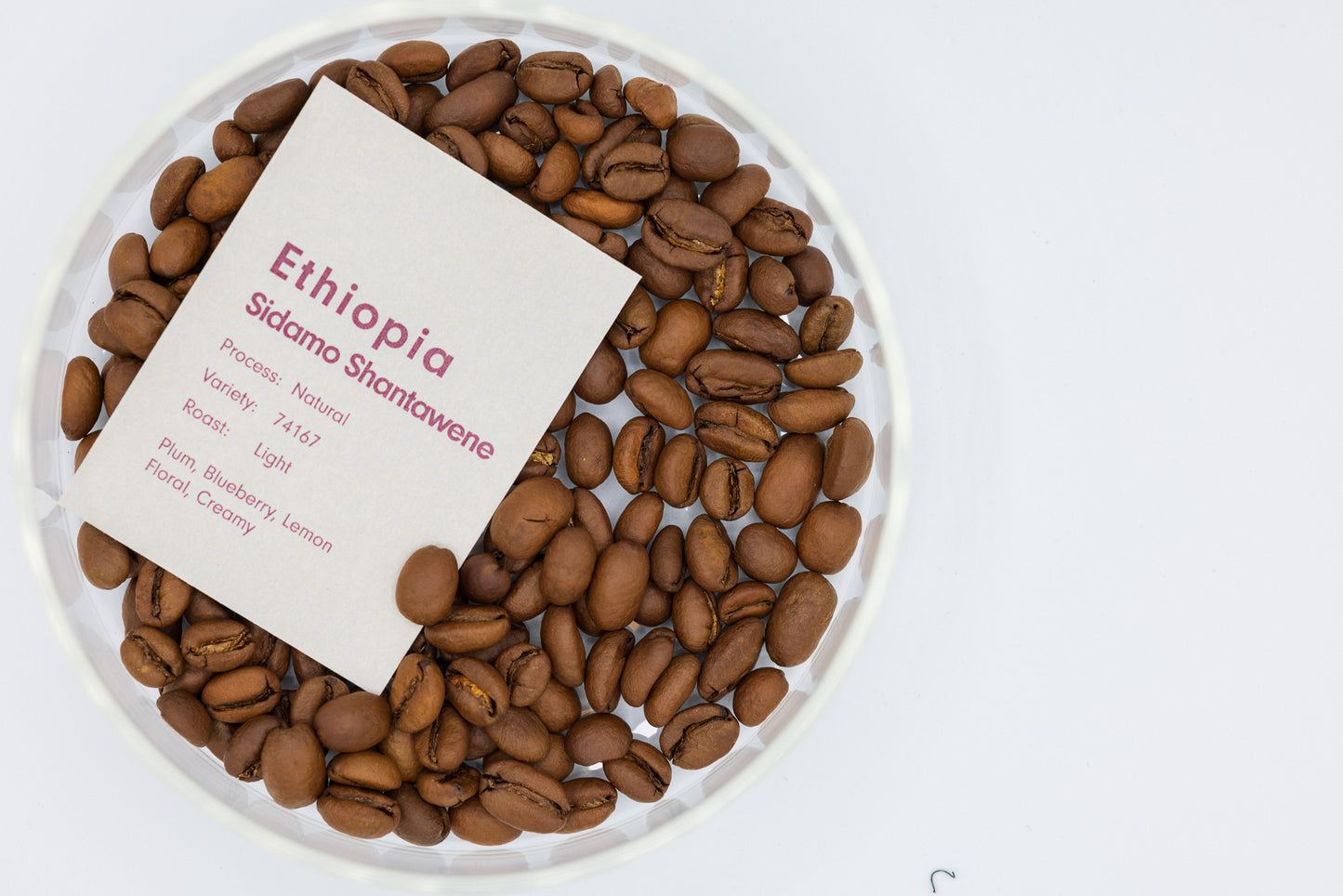 ETHIOPIA SIDAMO SHANTAWENE（エチオピア シダモ シャンタウェネ ）(0.5kg/卸売専用)