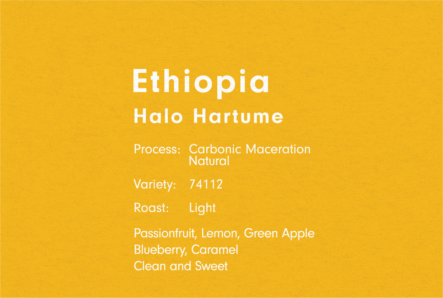 ETHIOPIA HALO HARTUME CARBONIC MACERATION（エチオピア ハロ ハルトゥミ  CM ナチュラル）