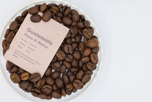 GUATEMALA FINCA EL RETIRO BOURBON（グァテマラ フィンカ エル レティロ ブルボン）