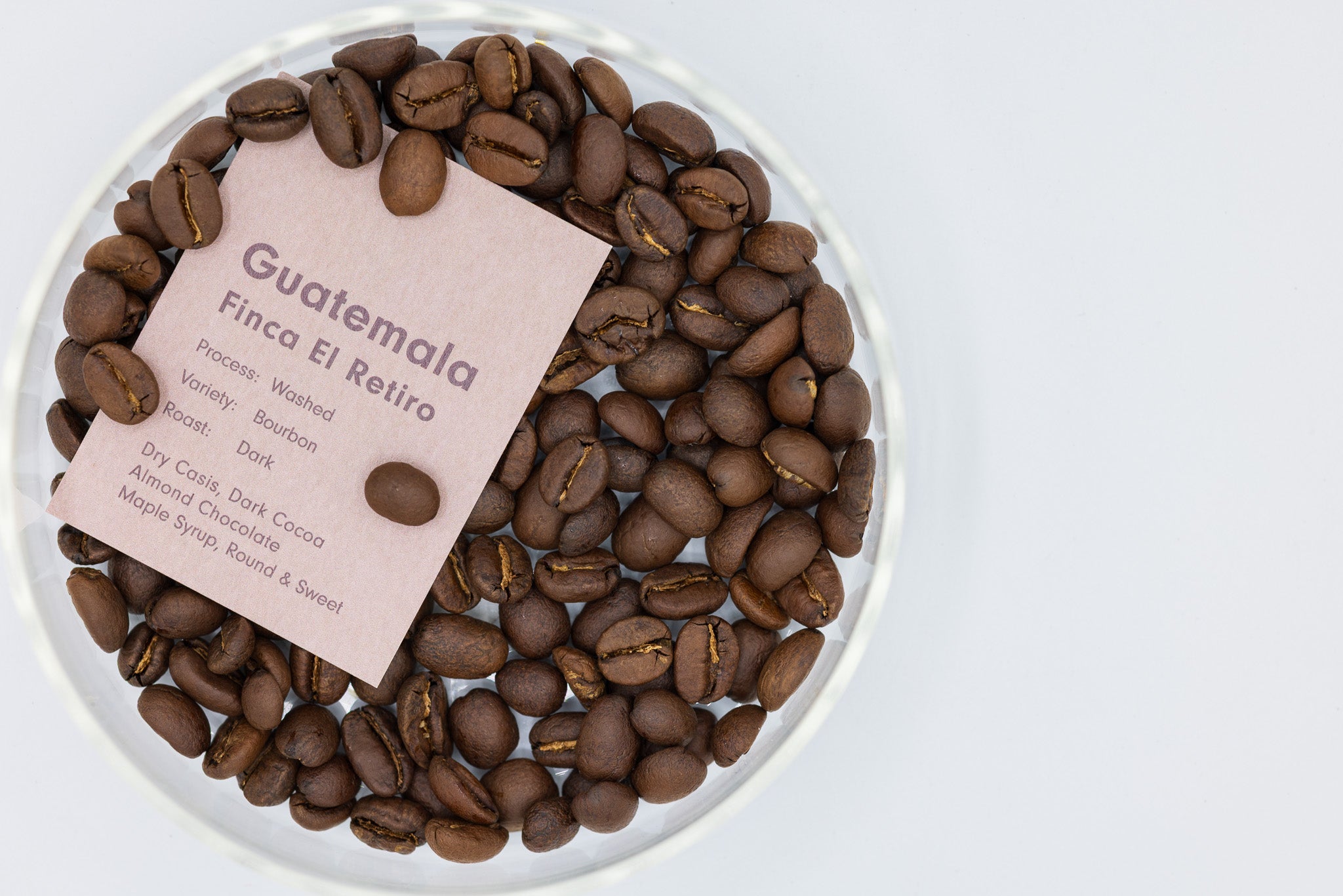 GUATEMALA FINCA EL RETIRO BOURBON