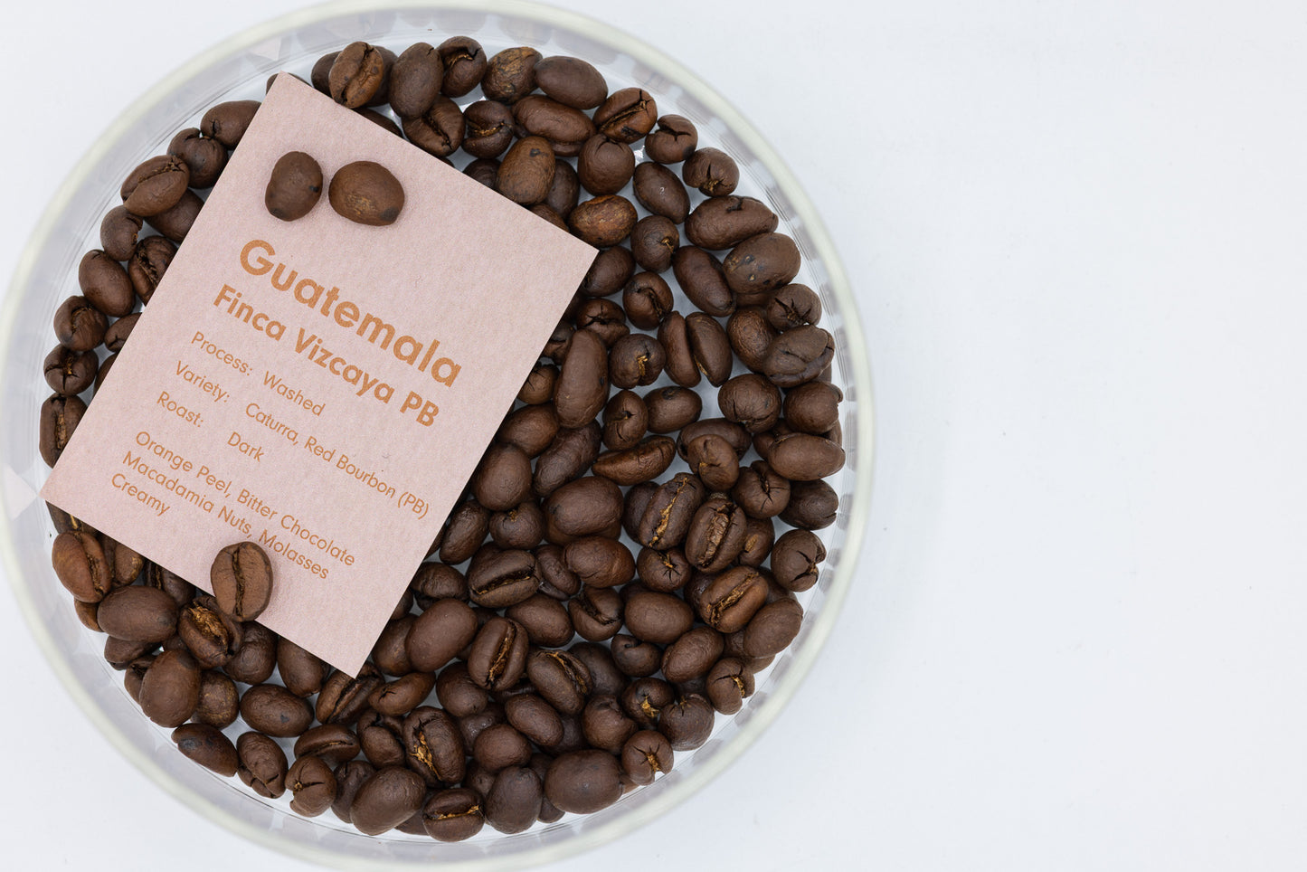 GUATEMALA FINCA VIZCAYA PB WASHED（グァテマラ フィンカ ビスカヤ PB ウォッシュト）