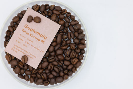 GUATEMALA FINCA VIZCAYA PB（グァテマラ フィンカ ビスカヤ PB）