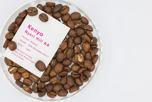 KENYA NYERI HILL AA（ケニア 二エリ ヒル AA）