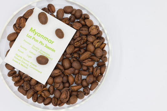 MYANMAR LAT PAN PIN JASMIN ANAEROBIC HONEY（ミャンマー ジャスミン アナエロビック ハニー）