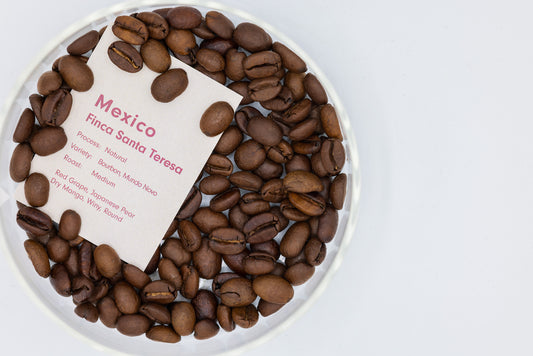 MEXICO FINCA SANTA TERESA NATURAL（メキシコ フィンカ サンタテレサ ナチュラル）
