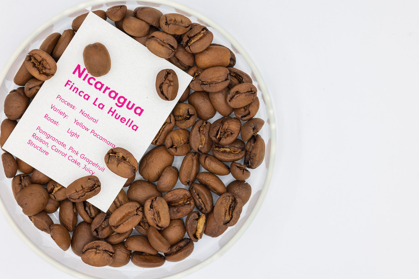 NICARAGUA FINCA LA HUELLA YELLOW PACAMARA NATURAL（ニカラグア ラ ウエジャ イエローパカマラ ナチュラル）