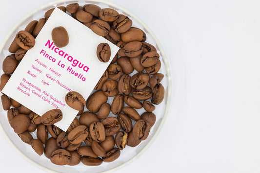 NICARAGUA FINCA LA HUELLA YELLOW PACAMARA NATURAL（ニカラグア ラ ウエジャ イエローパカマラ ナチュラル）