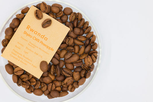 RWANDA SHYIRA CWS PINEAPPLE MACERATION（ルワンダ  シーラCWS パイナプルマセレーション）
