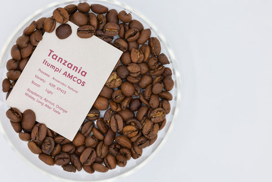 TANZANIA ITUMPI AMCOS ANAEROBIC NATURAL（タンザニア イトゥンピAMCOS アナエロビックナチュラル）