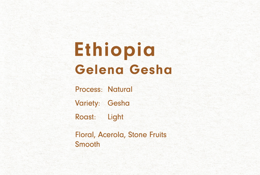 Ethiopia Guji  Gelena Geisha（エチオピア グジ  ゲレナ ゲイシャ ナチュラル）