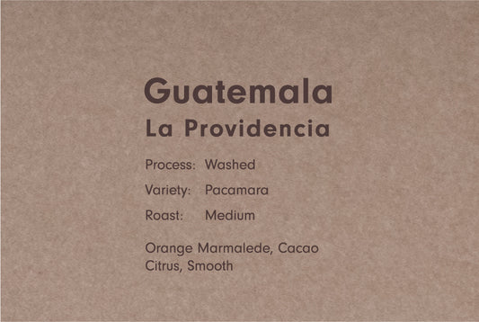 GUATEMALA LA PROVIDENCIA PACAMARA（グアテマラ ラ プロヴィデンシア パカマラ）